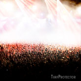 Protección Césped conciertos